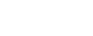 perplan logo branca